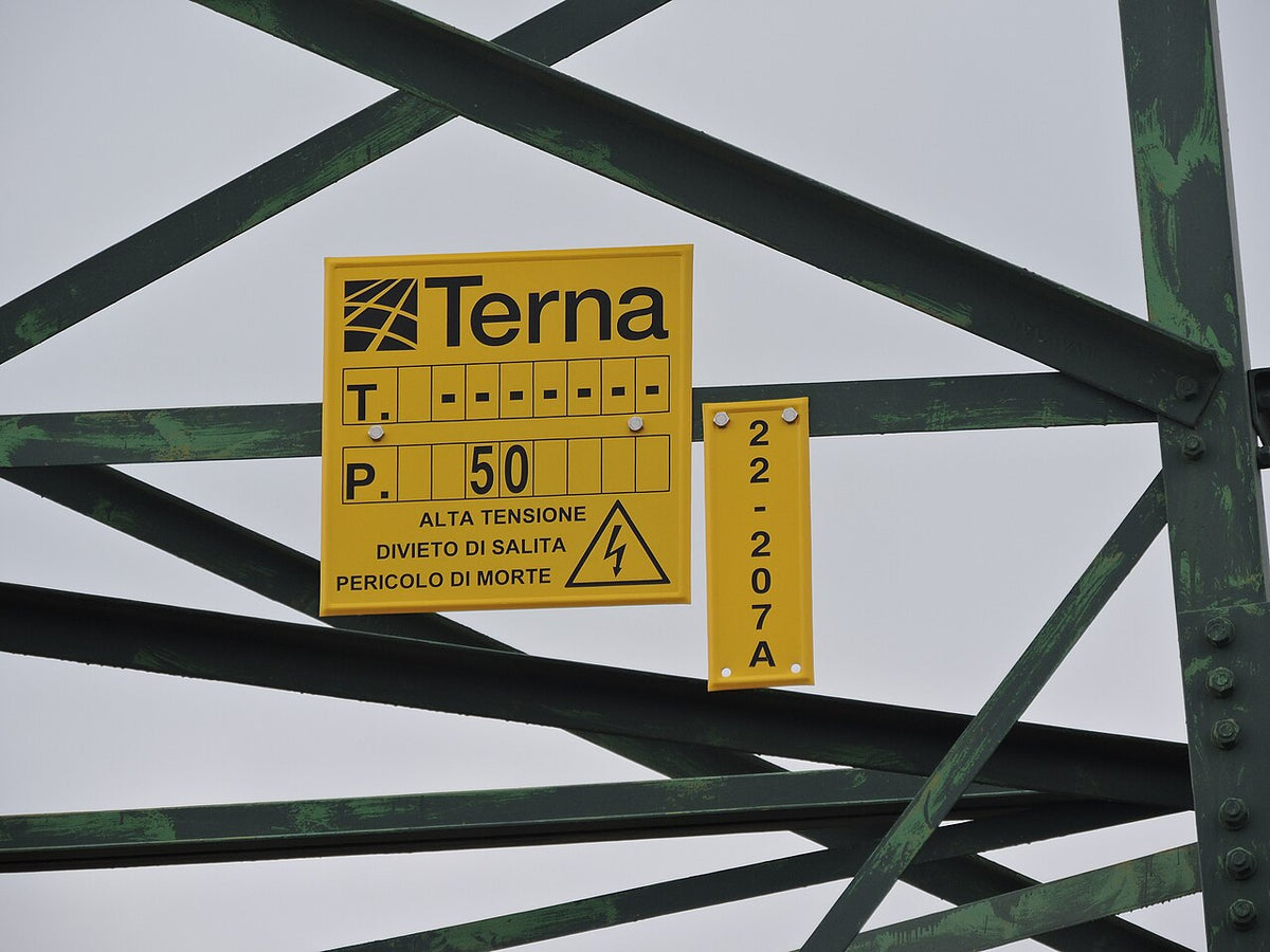 Infrastruttura di trasmissione elettrica Terna, analisi azioni