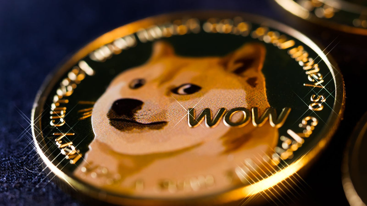 Moneta fisica rappresentativa di Dogecoin con il celebre cane Shiba Inu