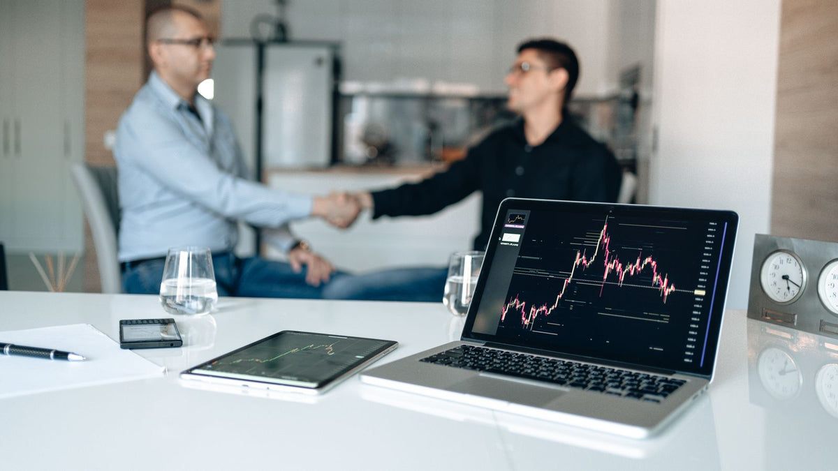Due persone esaminano grafici finanziari su un portatile