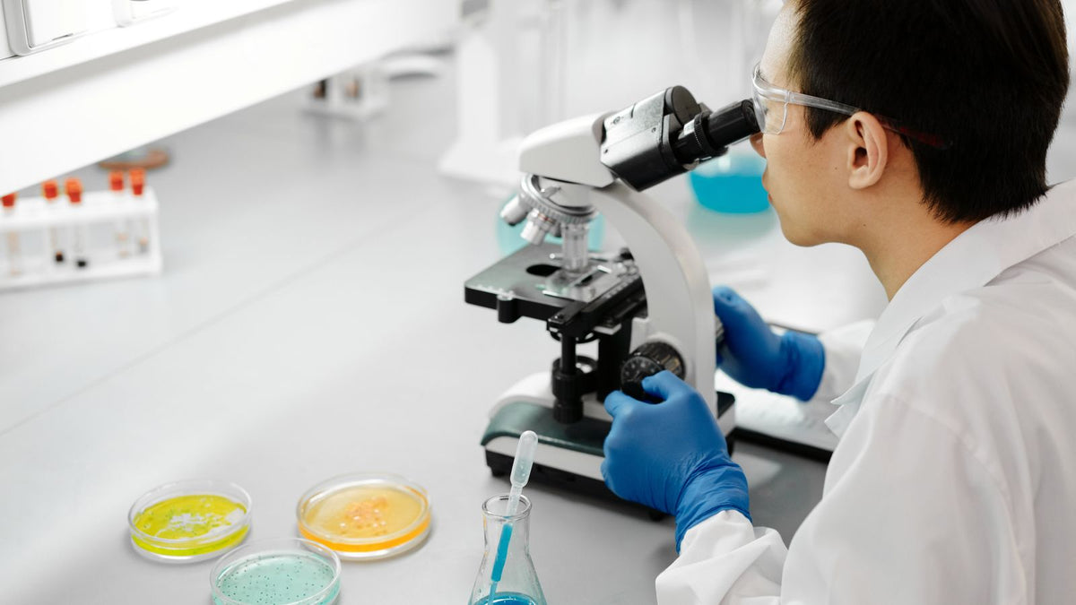 Scienziato che usa un microscopio in laboratorio, ricerca biotecnologica